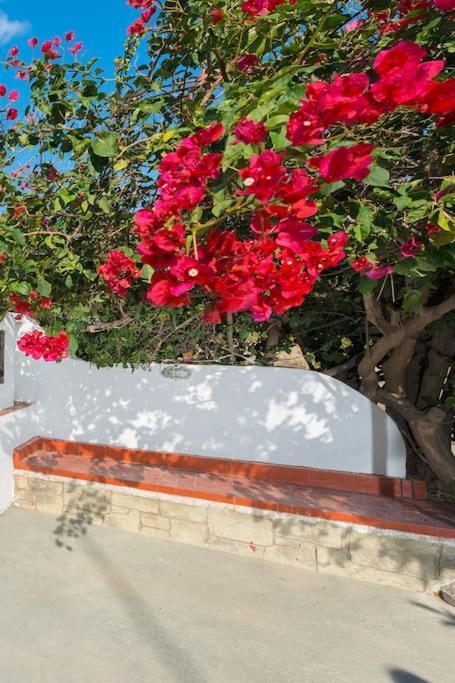 Greek Style Ground Floor Apartment & Pool Ialysos  Ngoại thất bức ảnh