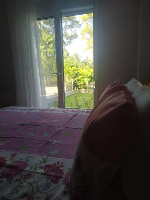 Greek Style Ground Floor Apartment & Pool Ialysos  Ngoại thất bức ảnh
