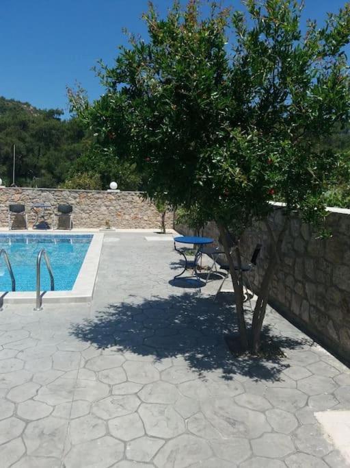 Greek Style Ground Floor Apartment & Pool Ialysos  Ngoại thất bức ảnh