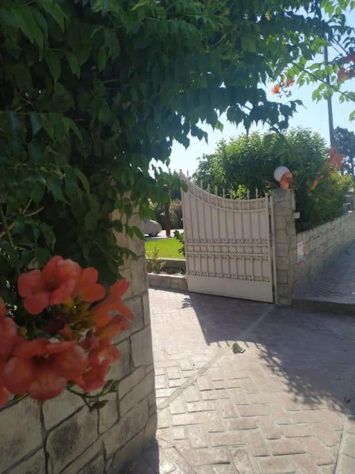 Greek Style Ground Floor Apartment & Pool Ialysos  Ngoại thất bức ảnh