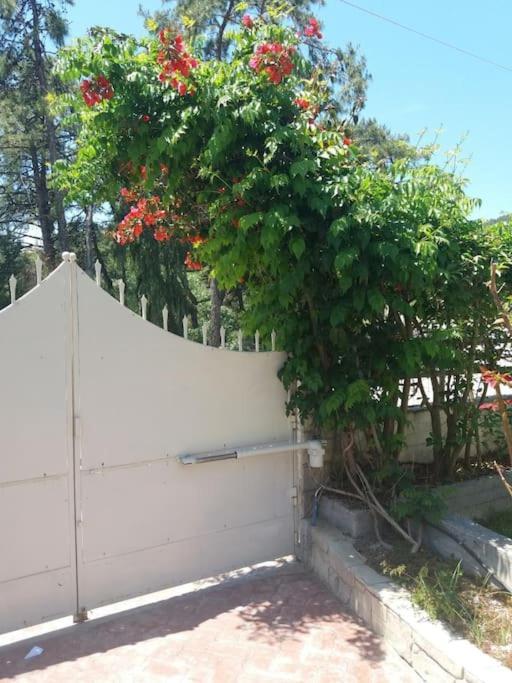 Greek Style Ground Floor Apartment & Pool Ialysos  Ngoại thất bức ảnh